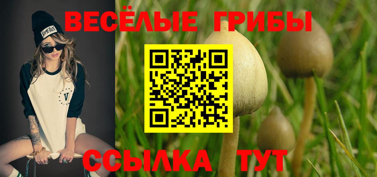Галлюциногенные грибы прущие грибы Богданович