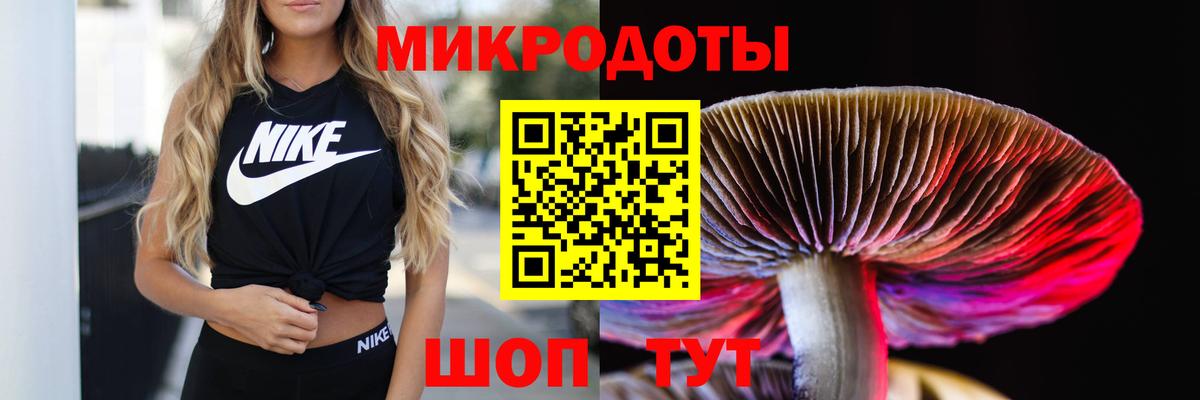 Галлюциногенные грибы MAGIC MUSHROOMS  Вход с VPN  Богданович 